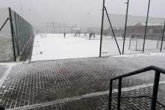 IMG_20220106_115625-Large